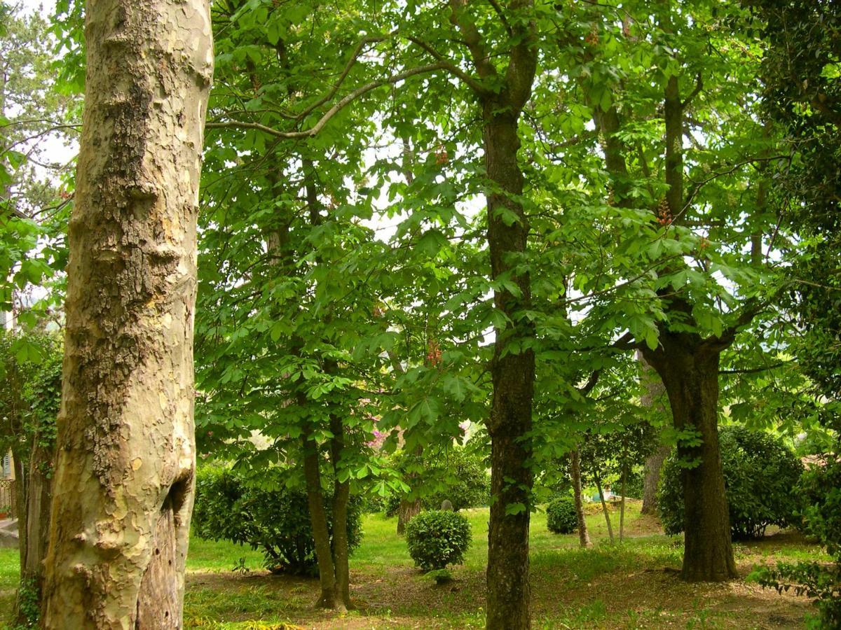 Domaine Du Parais B&B Sospel Εξωτερικό φωτογραφία