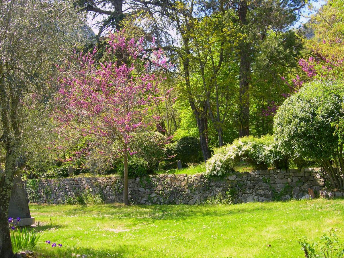 Domaine Du Parais B&B Sospel Εξωτερικό φωτογραφία