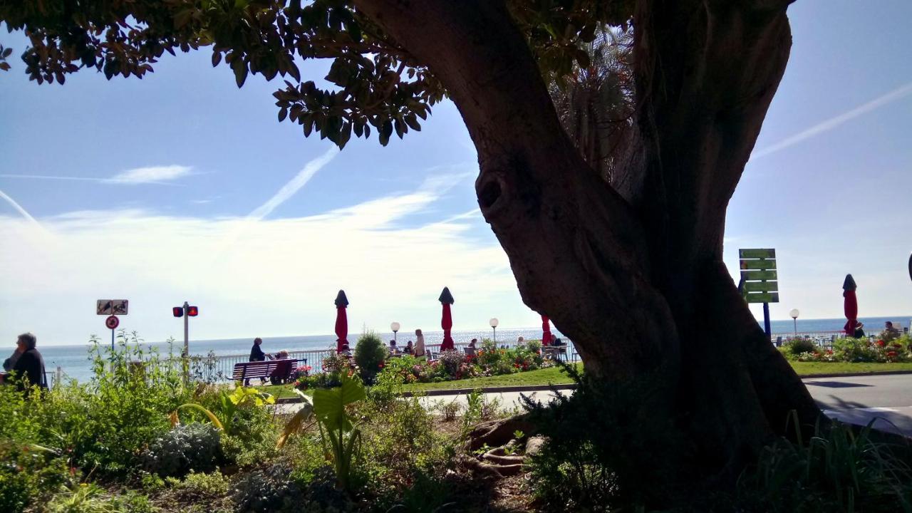Domaine Du Parais B&B Sospel Εξωτερικό φωτογραφία